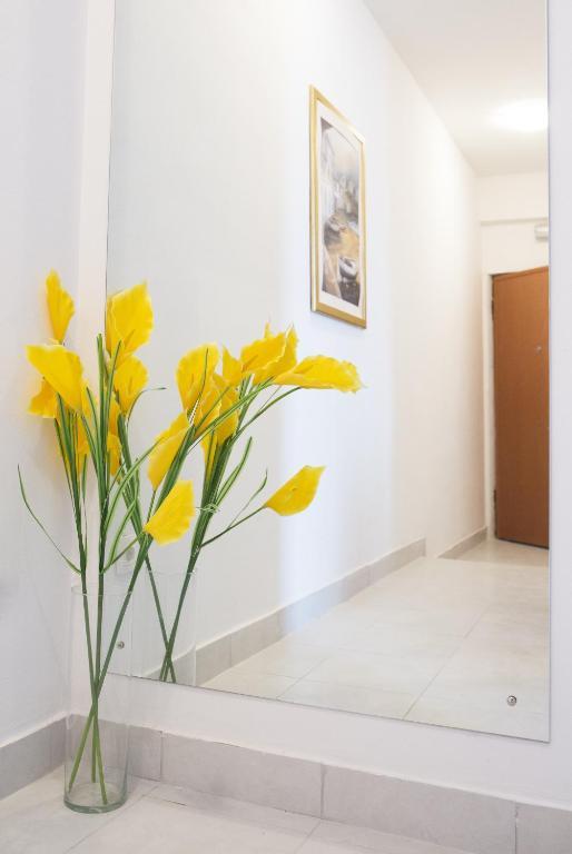Apartmani Nika Dubrovnik Zimmer foto